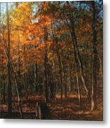 Autumn Forest Metal Print