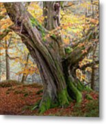 Monarch Of The Forest Metal Print
