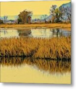Autumn In The Backwaters Metal Print