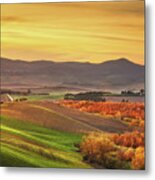 Autumn In Tuscany, Rolling Hills And Woods. Santa Luce Metal Print