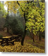 Autumn Landscape With Trees And Yellow Leaves On The Ground After Rain Metal Print