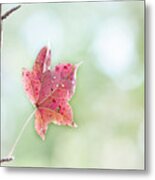 Autumn Leaf Metal Print