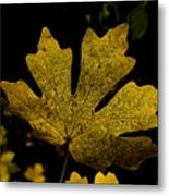 Autumn Leaves 25 Metal Print