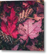 Autumn Leaves Metal Print