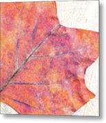 Autumn Leaves Composition Metal Print
