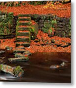 Autumn On The Riverbanks Metal Print