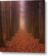 Autumn Pathway Metal Print