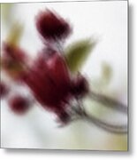 Autumn Red Metal Print