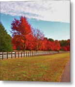 Autumn Reds In Riverview Farm Park Metal Print