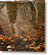 Autumn Reflections Metal Print