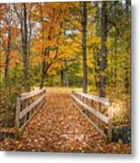 Autumn Splendor At Jay Cooke Metal Print