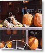 Autumn Still Life Metal Print