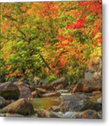 Autumn Stream Metal Print