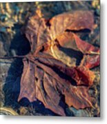 Autumn Underwater - Upper Delaware River Metal Print