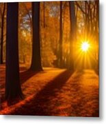 Autumn Woods Sunset Metal Print