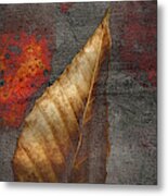 Autumn's Concrete Impression Metal Print
