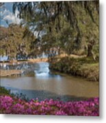 Azalea Alley On The Grounds Of Middleton Place Metal Print