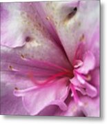 Azaleas Heart Metal Print