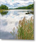 Backwater Reflections Metal Print