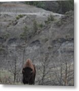 Badlands Bull Metal Print