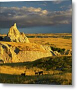 Badlands Mule Deer Metal Print