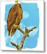 Bald Eagle Painted Effect Metal Print