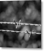 Barbed Wire Metal Print
