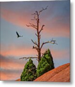 Bare Trees On Rock Mountain At Dusk Metal Print