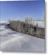 Barrens Winter Landscape Metal Print