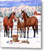 Bay Quarter Horses In Snow Metal Print