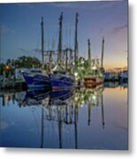 Bayou Evening, 9/17/20 Metal Print