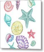 Beach Art Watercolor Sea Shells And Stars Art Iii Metal Print