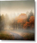Beautiful Autumn Landscape Of Misty Forest And Path With Fall Le Metal Print