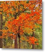 Beautiful Autumn Metal Print