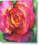 Beautiful Rose Watercolor Painting Metal Print