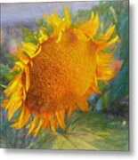 Beauty Of A Sunflower Metal Print