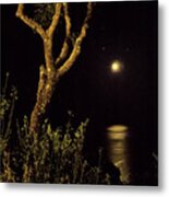 Beauty Of Our Planet - Music Of Night Metal Print