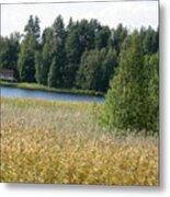 Bed Of Reeds In Bond Metal Print