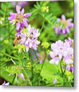 Bee In The Garden Metal Print