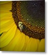 Bee On Sunflower 9 Metal Print