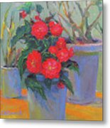 Begonias In Shade Metal Print