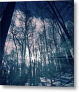 Between The Light And The Shadow Metal Print