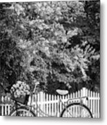 Bicycle By The Garden Fence Black And White Metal Print