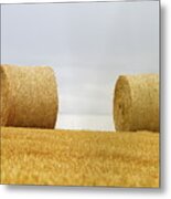 Big Round Bales Of Straw In A Field After Harvest Metal Print