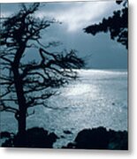 Lone Cypress - Silhouette - Big Sur - Monterey - California. Metal Print