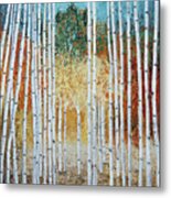 Birch Trees And Fall Color Metal Print