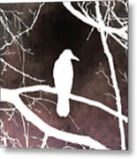 Bird 79 Crow Raven Metal Print