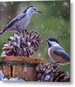 Bird Buddies Metal Print