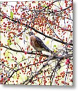Bird In A Tree Metal Print