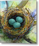 Bird Nest 2 Metal Print